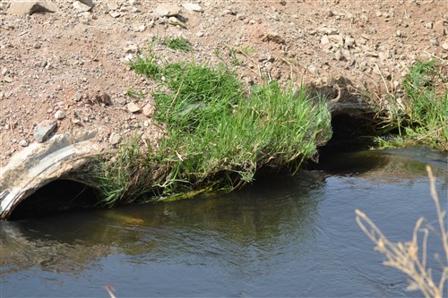 مشروع تسليك وتهذيب مجرى مياه الصرف الصحي المعالج من سد الغاب